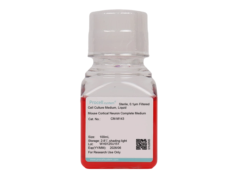Mouse Cortical Neuron Complete Medium - 3
