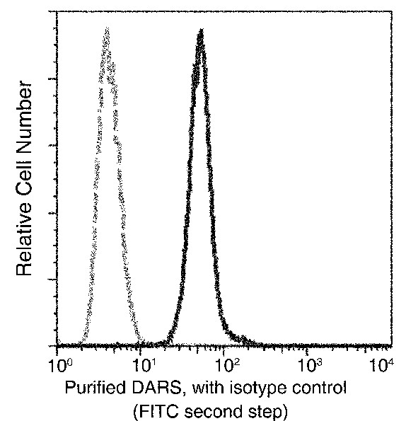 DARS Monoclonal Antibody - 1