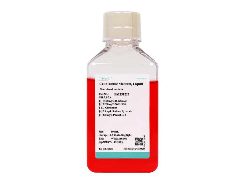 Neurobasal medium - small - 1