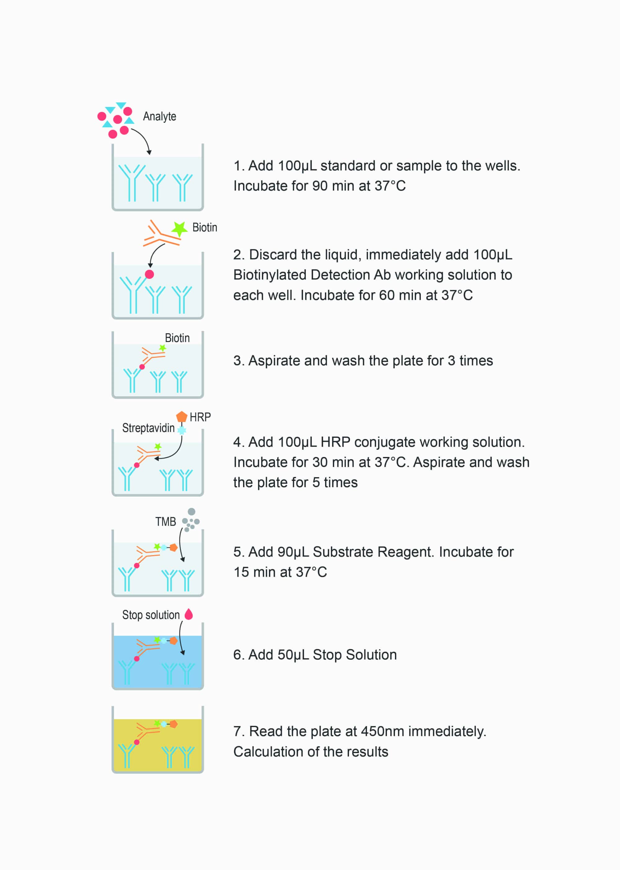Mouse PⅠNP(Procollagen Ⅰ N-Terminal Propeptide) ELISA Kit - procedures