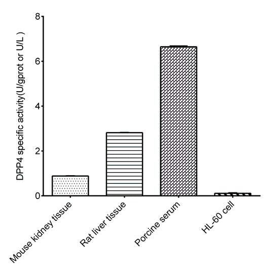 Dipeptidyl Peptidase IV (DPP4) Activity  Fluorometric Assay Kit - 2