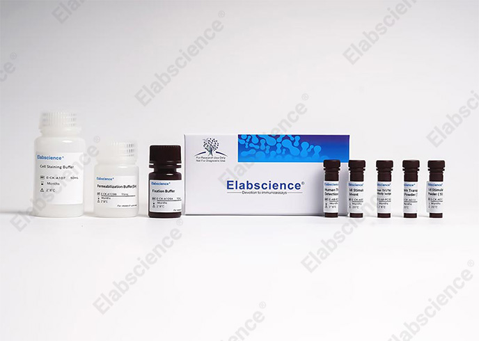 Human Th17 Flow Cytometry Staining Kit - 2
