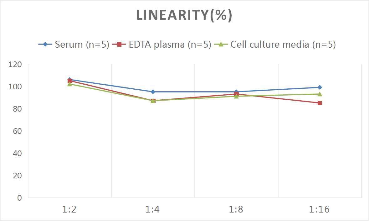 Human KL(Klotho) ELISA Kit - 2