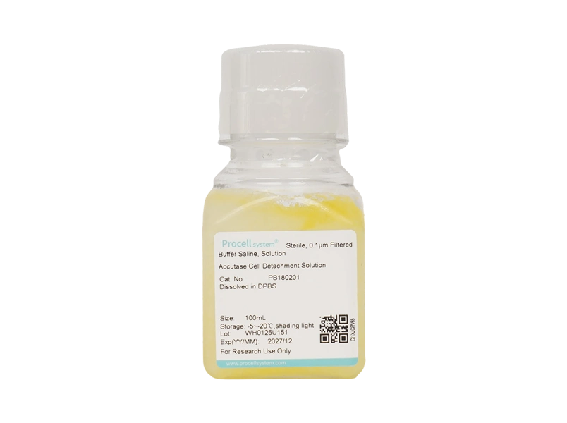 Accutase Cell Detachment Solution - 1