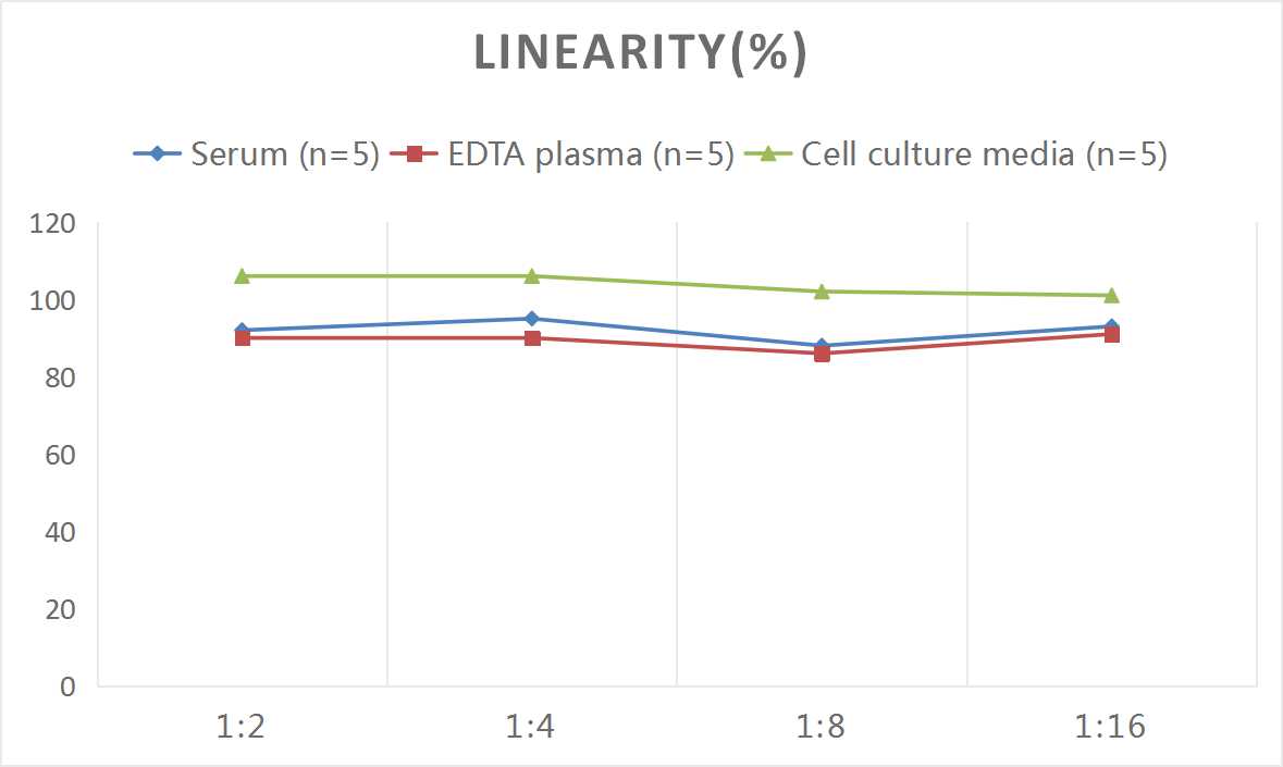 Rat TF(Tissue Factor) ELISA Kit - 2
