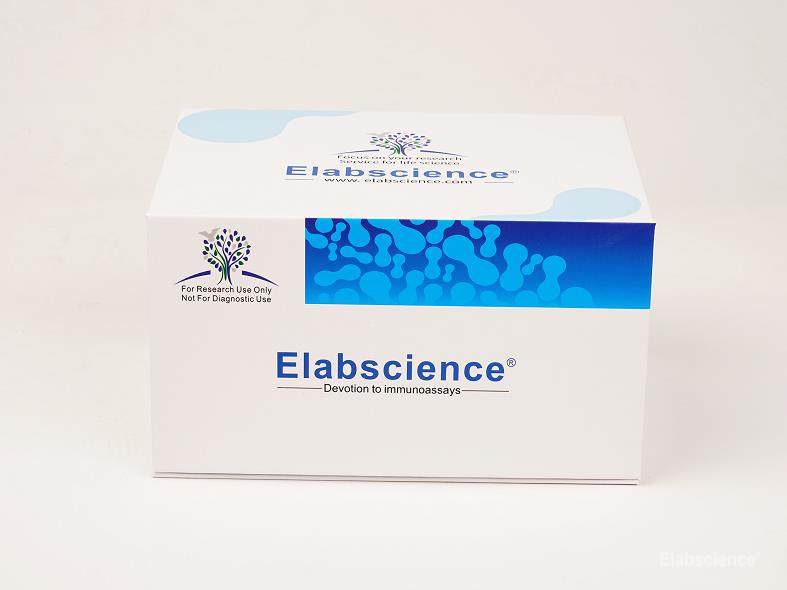 SARS-CoV-2 Neutralization Antibody ELISA Kit(Qualitative) - 1