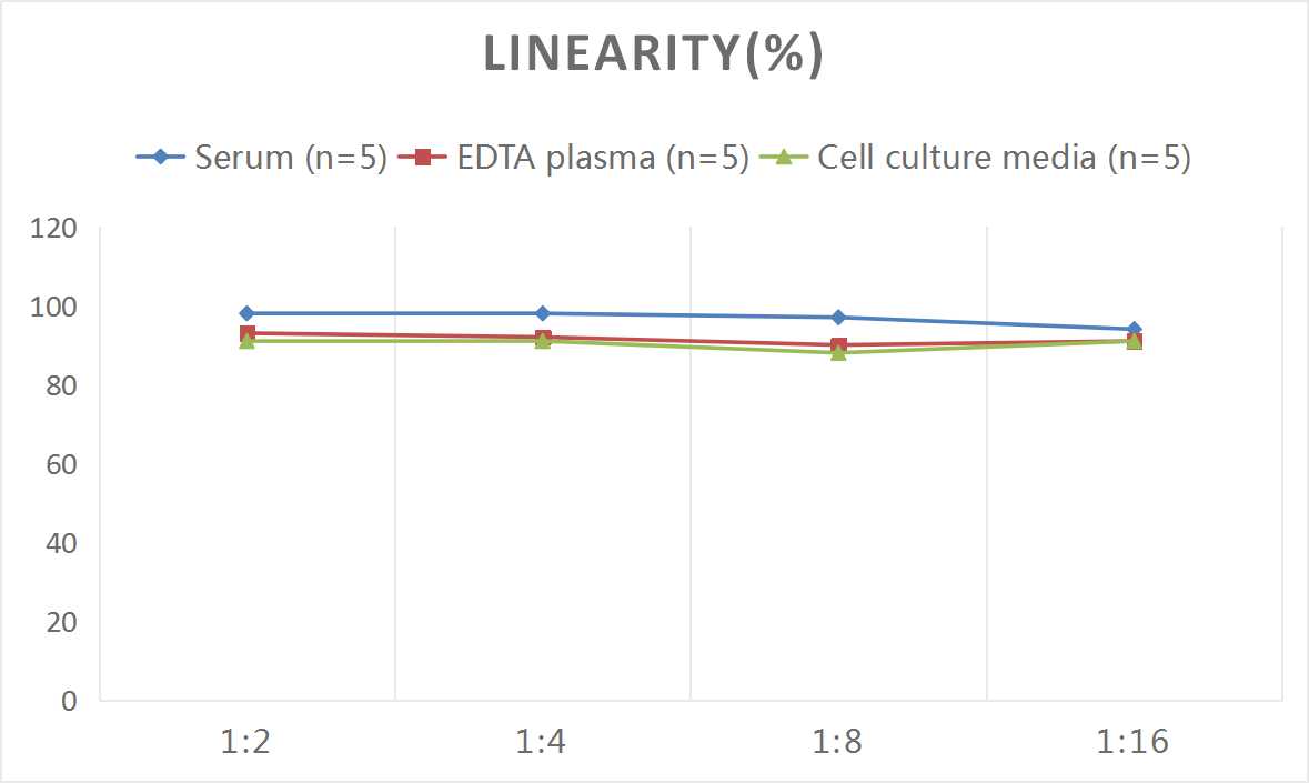 Rat HMGB-1(High Mobility Group Protein B1) ELISA Kit - 2