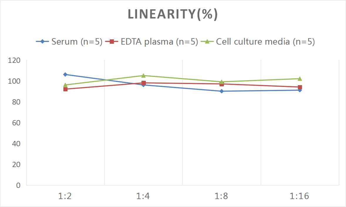 Mouse VIP(Vasoactive Intestinal Peptide) ELISA Kit - 2