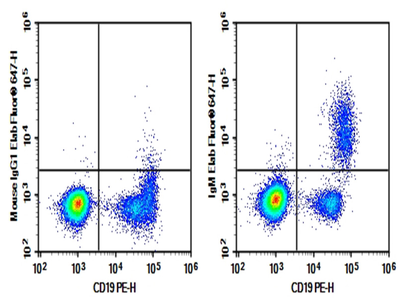 Purified Anti-Human IgM Antibody[MHM-88] - 1