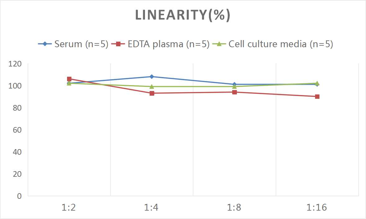 Rat CRP(C-Reactive Protein) ELISA Kit - 2