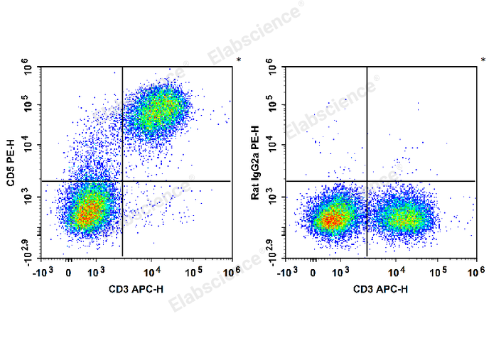 PE Anti-Mouse CD5 Antibody[53-7.3] - 1