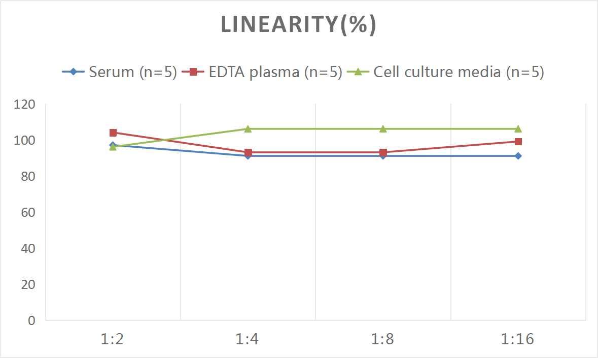 Mouse ACTH(Adrenocorticotropic Hormone) ELISA Kit - 2