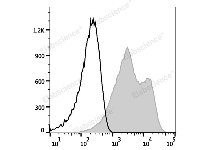 PE Anti-Mouse/Rat CD29 Antibody[HMβ1-1] - 2