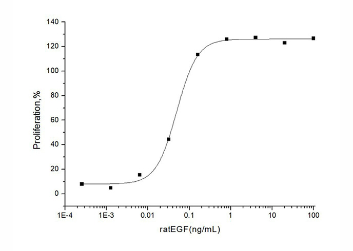 Recombinant Rat EGF Protein - 2