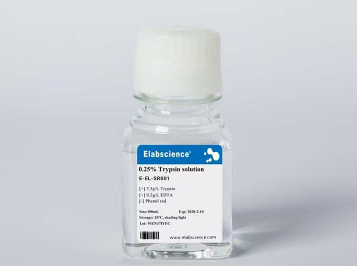 0.25% Trypsin Solution - 1