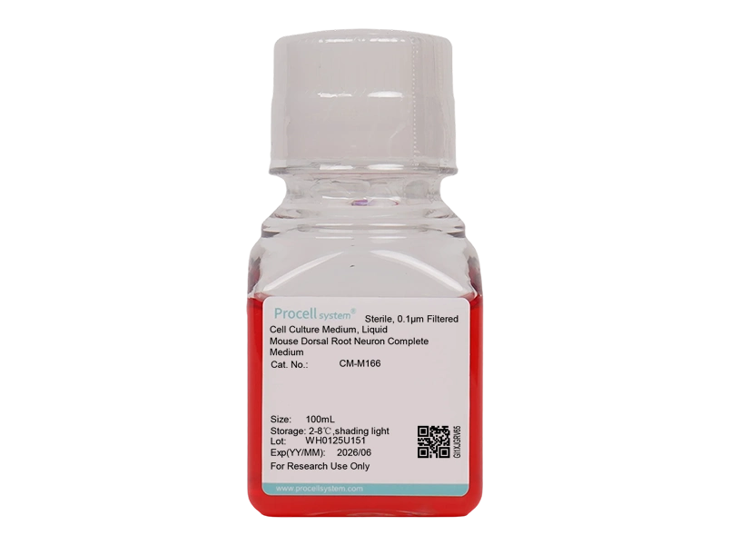 Mouse Dorsal Root Neuron Complete Medium - 3