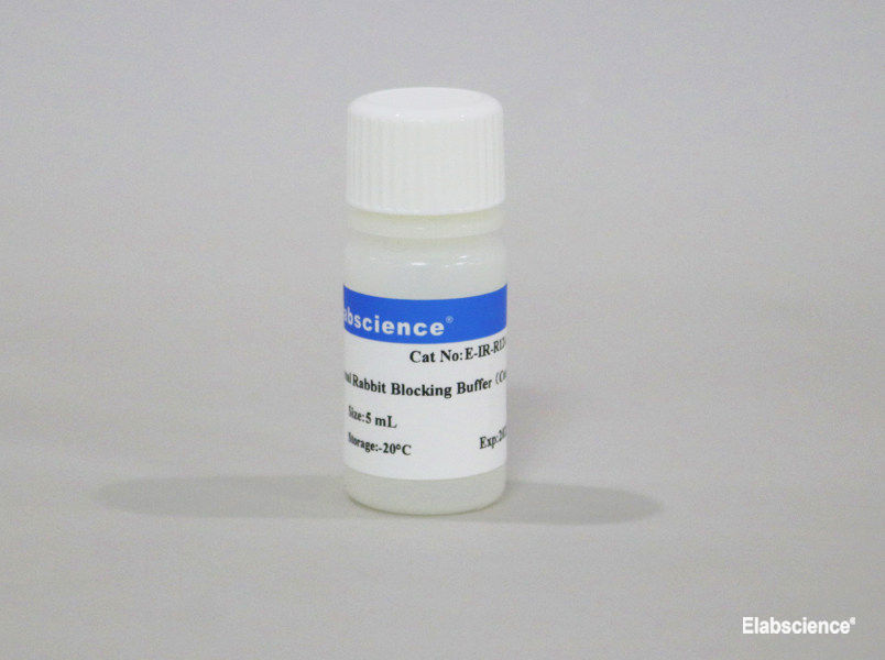Normal Rabbit Blocking Buffer (Concentrated) - 1