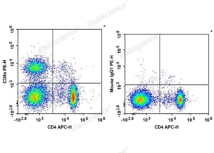 PE Anti-Rat CD8a Antibody[OX-8] - 1