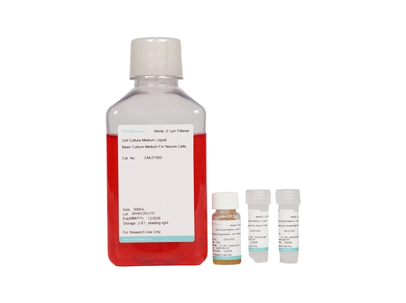 Neuronal Medium (NM) - 1