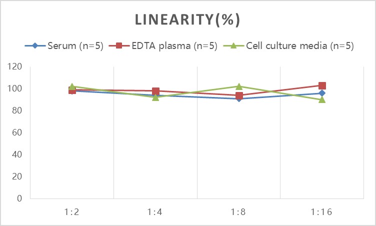 Human ICAM-1/CD54(intercellular adhesion molecule 1) ELISA Kit - 2