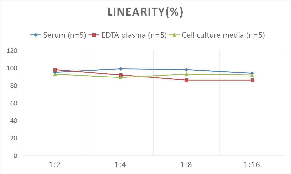 Mouse MUC5AC(Mucin-5 subtype AC) ELISA Kit - 2