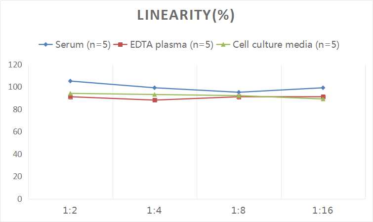 Human TERT(Telomerase Reverse Transcriptase) ELISA Kit - 2