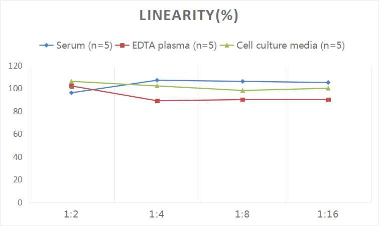 Human ECF/CCL11(Eosinophil Chemotactic Factor) ELISA Kit - 2