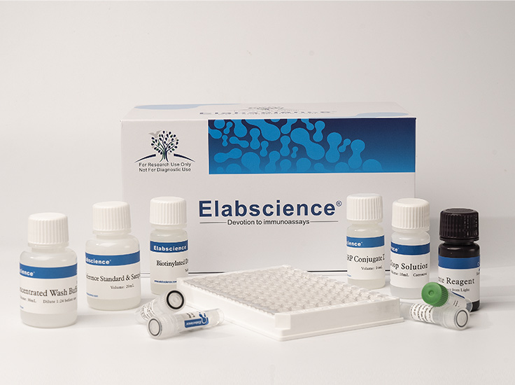 Human TERT(Telomerase Reverse Transcriptase) ELISA Kit - small - 4