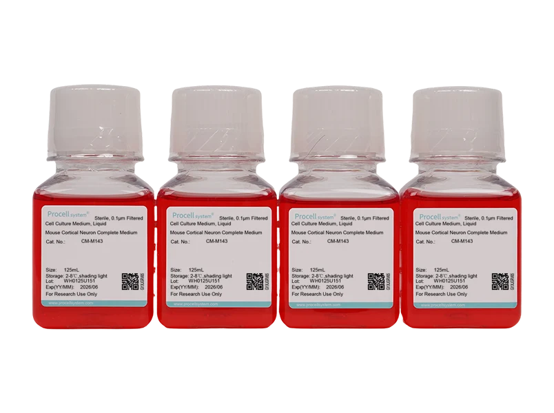 Mouse Cortical Neuron Complete Medium - small - 4