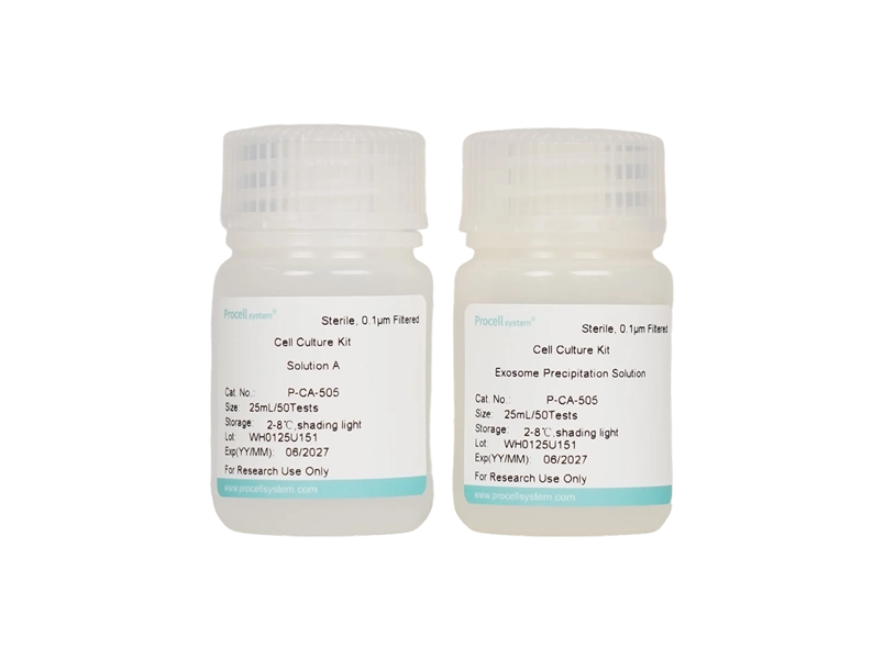 Exosome Isolation Kit (Precipitation) - small - 2