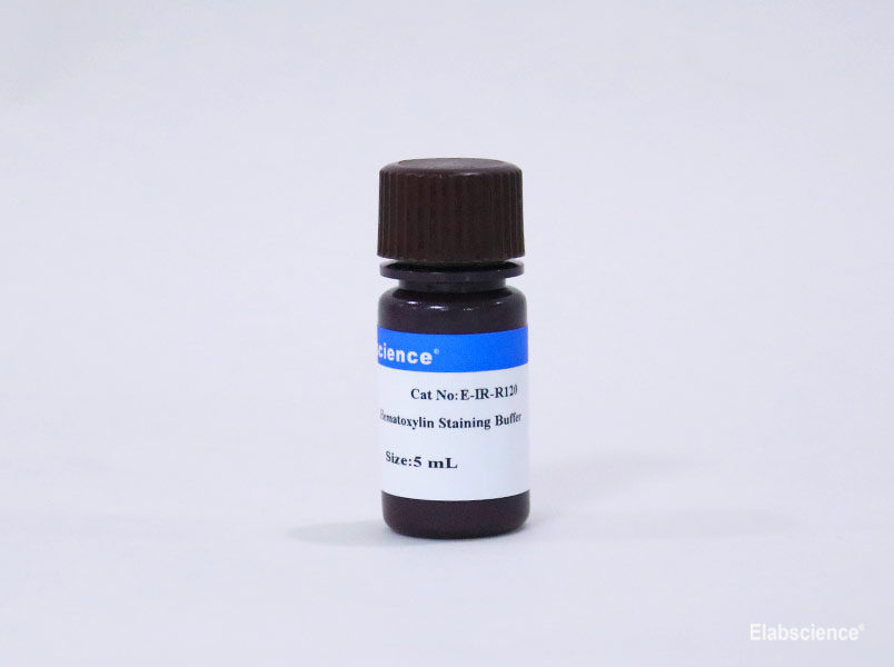 Hematoxylin Staining Buffer - 1