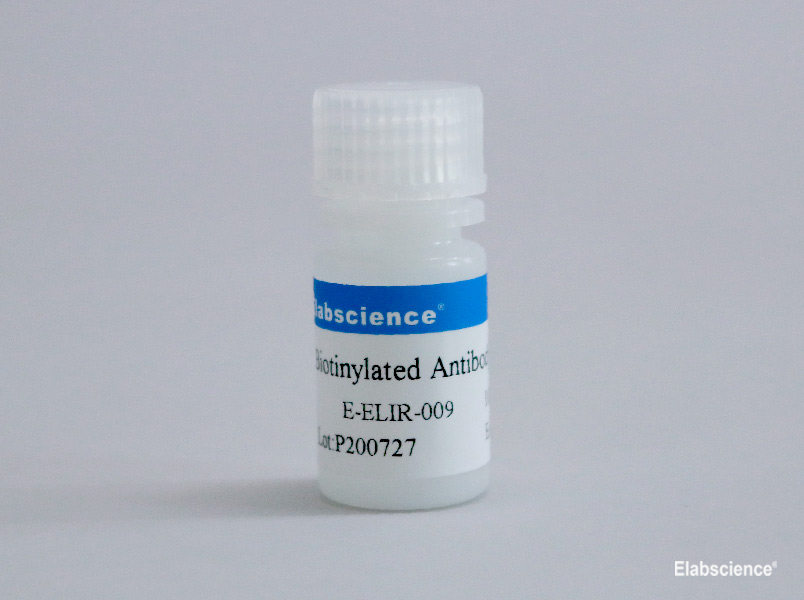 Biotinylated Antibody Stabilizer - 1
