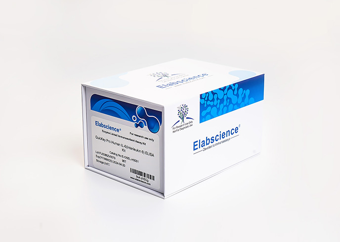 QuicKey Pro Rabbit E2(Estradiol) ELISA Kit - 3