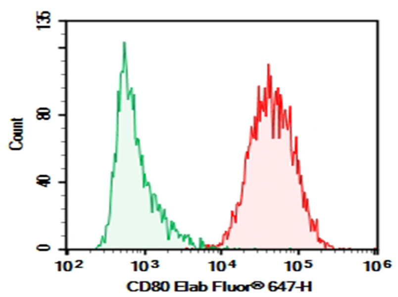 Purified Anti-Human CD80 Antibody[2D10], Functional Grade - 1
