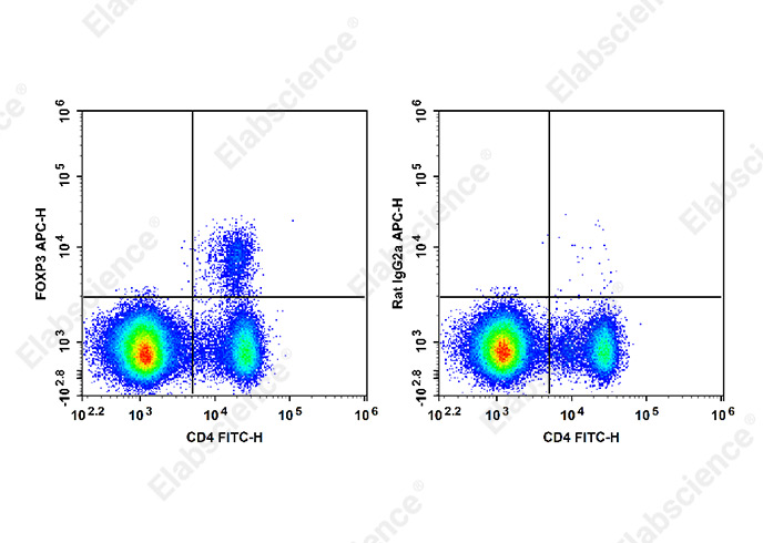 APC Anti-Mouse/Rat Foxp3 Antibody[FJK-16s] - 1