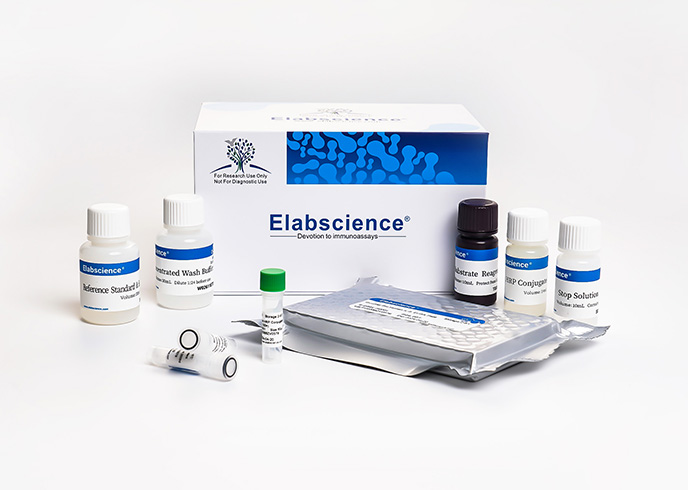 QuicKey Pro Rabbit E2(Estradiol) ELISA Kit - small - 5