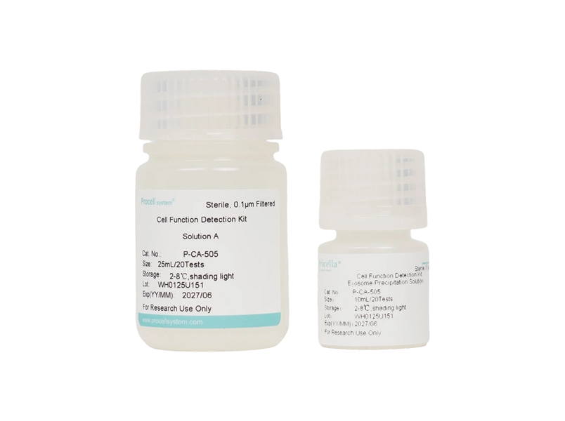 Exosome Isolation Kit (Precipitation) - small - 1