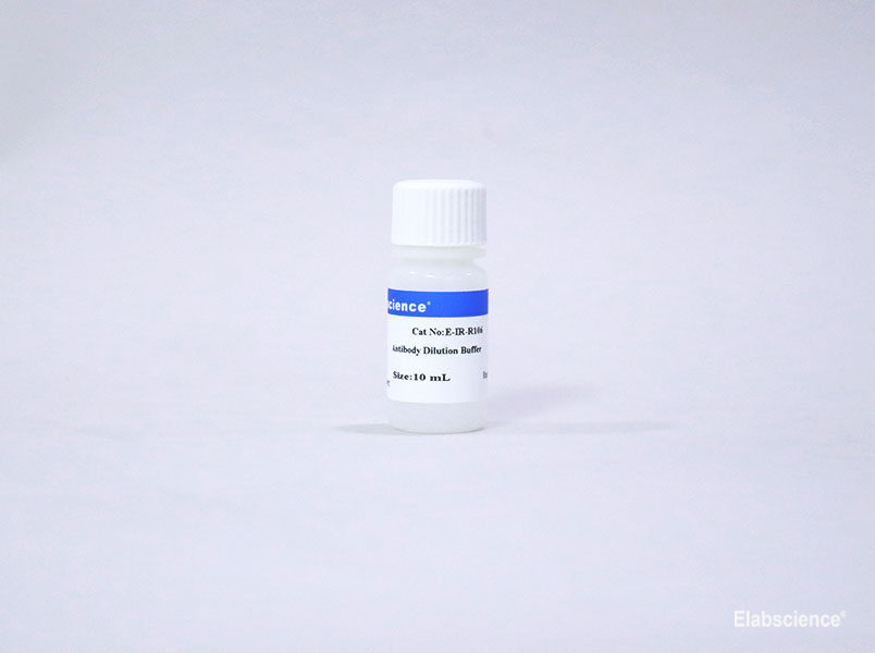 Antibody Dilution Buffer - 1