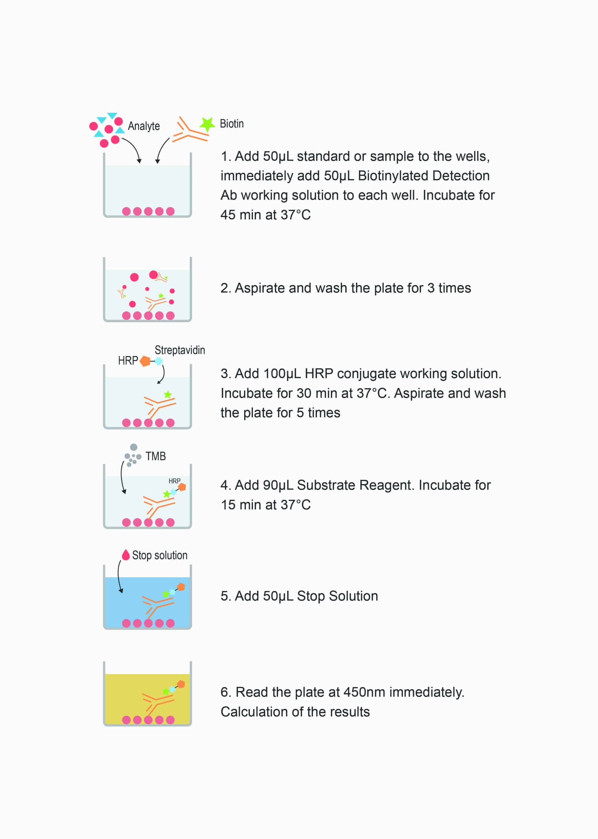 ALD(Aldosterone) ELISA Kit - procedures