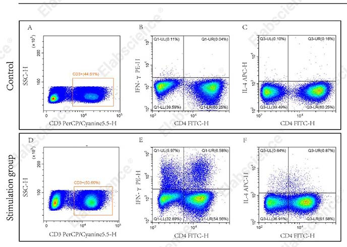 Mouse Th1/Th2 Flow Cytometry Staining Kit - 1