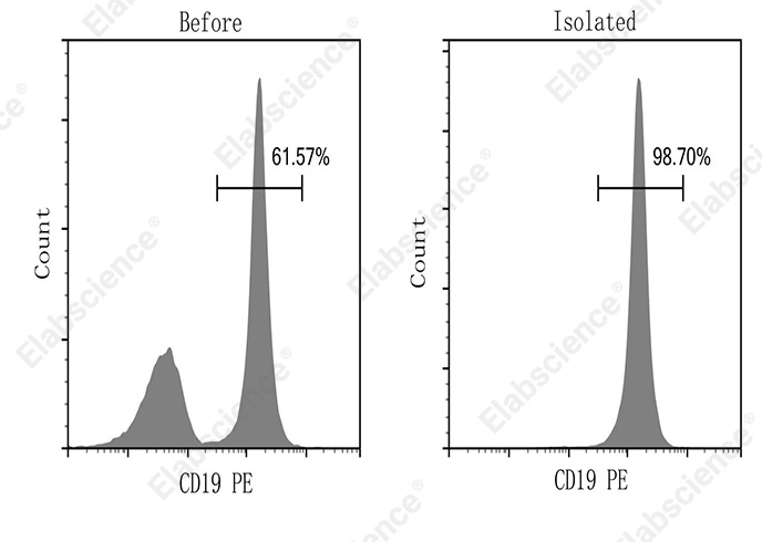EasySort™ Mouse B Cell Isolation Kit - 1
