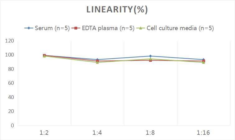 Human FN(Fibronectin) ELISA Kit - 2
