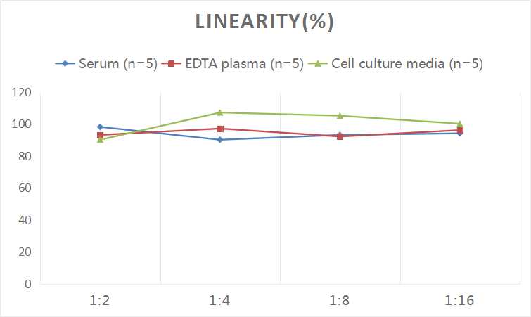 Human ADH(Antidiuretic Hormone) ELISA Kit - 2