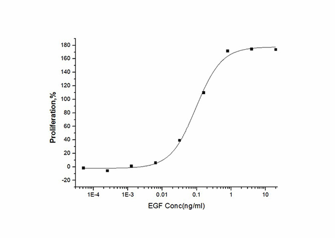 Recombinant Human EGF Protein - 2