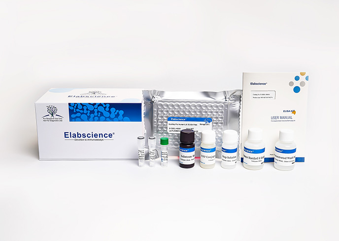 QuicKey Pro Rabbit Pg(Progesterone) ELISA Kit - small - 4