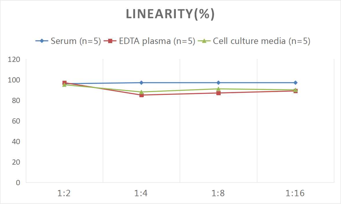 Mouse PⅠNP(Procollagen Ⅰ N-Terminal Propeptide) ELISA Kit - small - 2