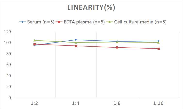 Human Bcl-2(B-cell Leukemia/Lymphoma 2) ELISA Kit - 2