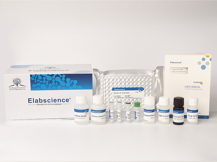 Mouse MUC5AC(Mucin-5 subtype AC) ELISA Kit - 3