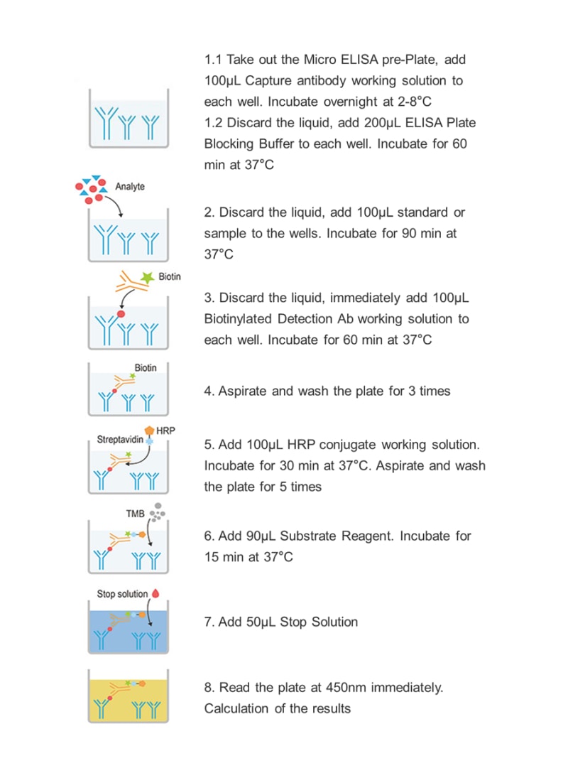 Uncoated Monkey αFP (Alpha-Fetoprotein) ELISA Kit - procedures