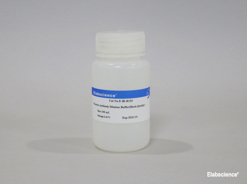 Western Antibody Dilution Buffer (Block Quickly) - 1